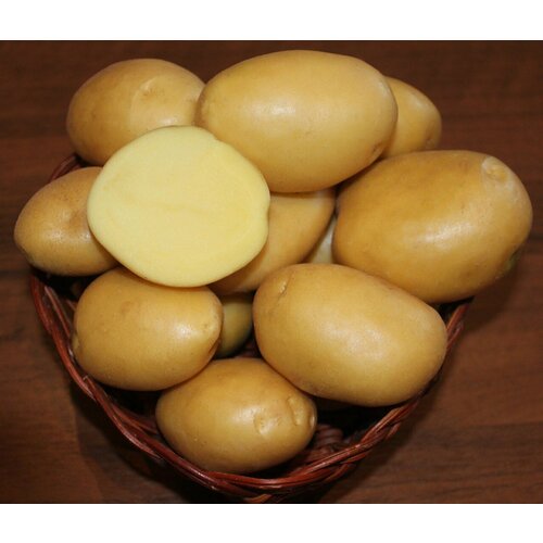 Картофель семенной Вымпел (2 кг), цена 500р