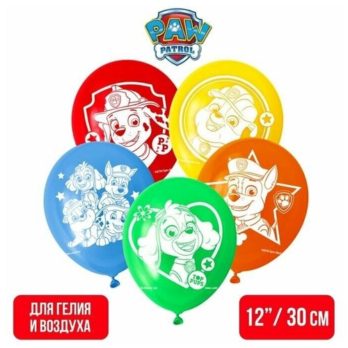 Paw Patrol   