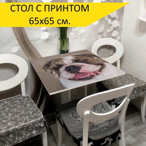 ���� 