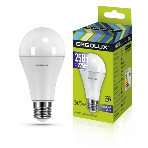 Ergolux  A65 E27 25W(2425lm 270) 6500K 6K  127x64 /. LED-A65-25W-E27-6K,  276