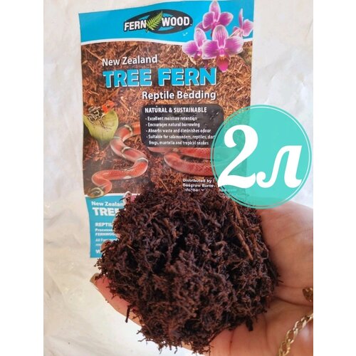 Tree Fern()       2,   ,  799