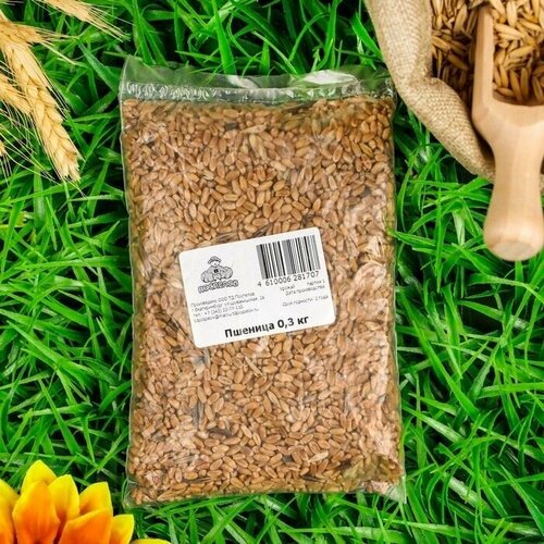 Семена Пшеница, 0,3 кг, цена 560р