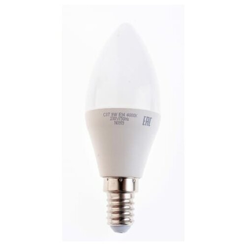   LED 9w E14 4000K  Jazzway |  5019034 | JazzWay (1 .),  473