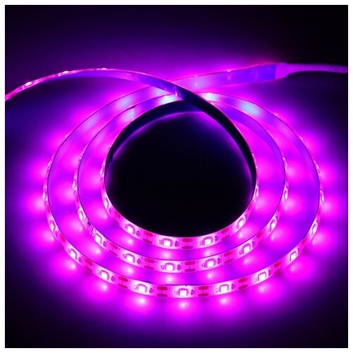   Luazon, 5 , SMD5050, 2 , IP20, 10.3 , 60 LED/, ., USB,  879