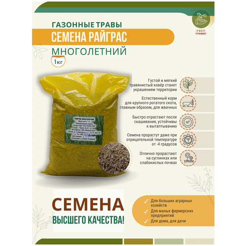 Семена Райграса Многолетнего 1 кг Мосагрогрупп, цена 420р