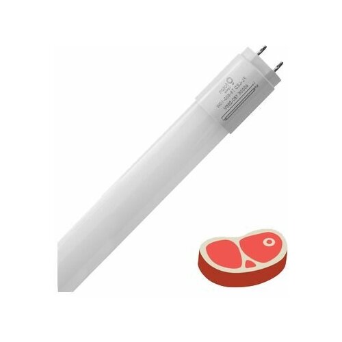 FL-LED T8- 600 10W MEAT G13 (220V - 240V, 10W, 600mm) -  ,  1877