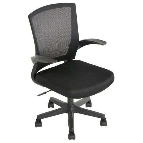 ������ BN_Cm_EChair- 316 TTW net �����.����.,����� ����/����� �����, ���� 13056�