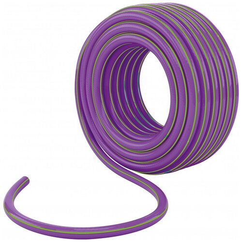 ����� ���������� ������������ Palisad Violet, 3 ����, 1/2