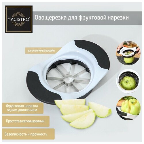 ���������� ��� ��������� ������� Magistro Vegan pro, 18,5?12?4 ��, ���� �����-�����, ���� 437�