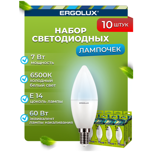    Ergolux LED-C35-7W-E14-6K   10 ,  770