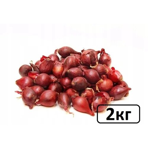 Семена лук-севок Ред Барон 2 кг, цена 565р