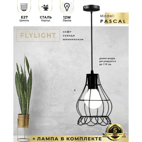   Flylight PASCAL     /  12W - 4000K (),   LOFT,  4969