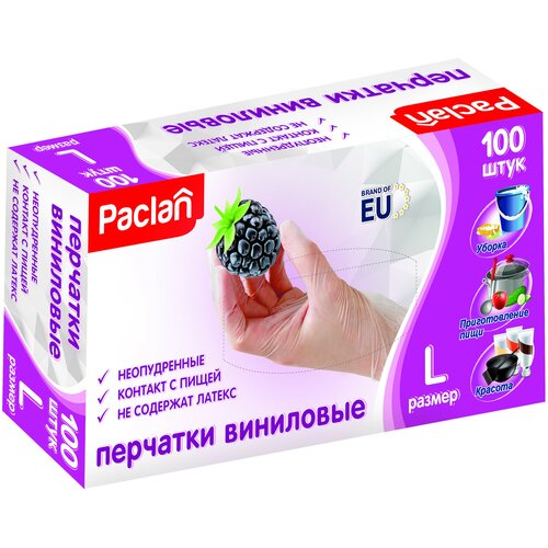 �������� ��������� ������ L 100 �� ��� ������� ����� ������� ��������������� Paclan, ���� 590�