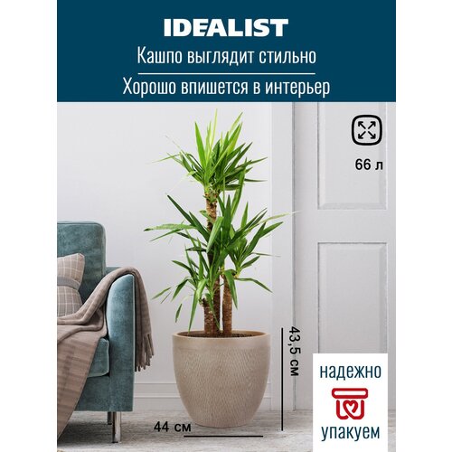   IDEALIST LITE , , -, 44 43.5 ,  4039