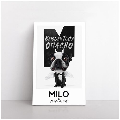    MILOTA   