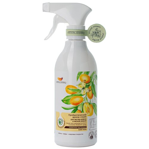     AromaCleaninQ 500  -         ,  381