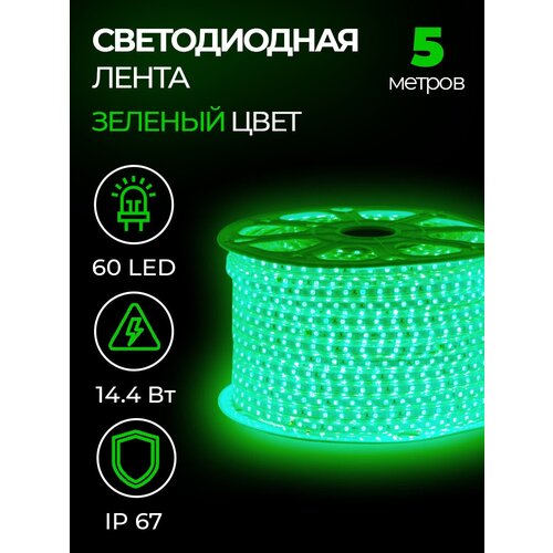   SMD 5050, 60 LED, 220 , 14,4 , IP67, ,  1295