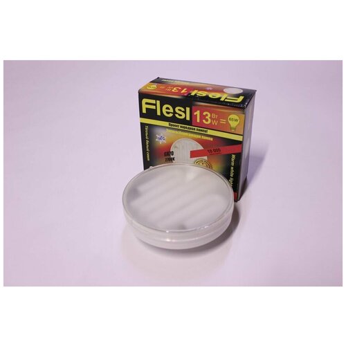   Flesi 13, 220,  GX70.    2700K,  180