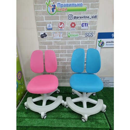 ������ Assistant (REDER) �������, ���� 16000�