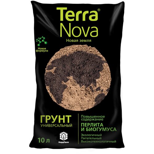     (Terra Nova) 10 ,  389