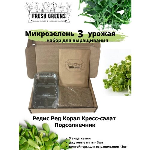      Fresh Greens (   - ),  386 Fresh greens