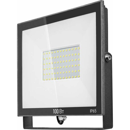  61 948 OFL-100-6K-BL-IP65-LED  61948 (4.),  4824