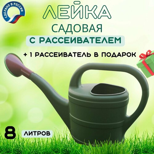 �����, 8 �, � ������������� 