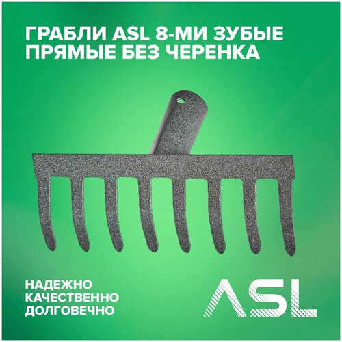  ASL 8-    ,  301