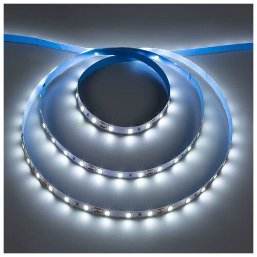   Ecola PRO 5 , IP20, SMD2550, 60 LED/, 19 /, 12 , 6000,  624