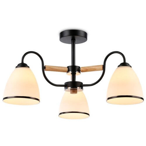    Ambrella Light Modern TR3033241,  4848