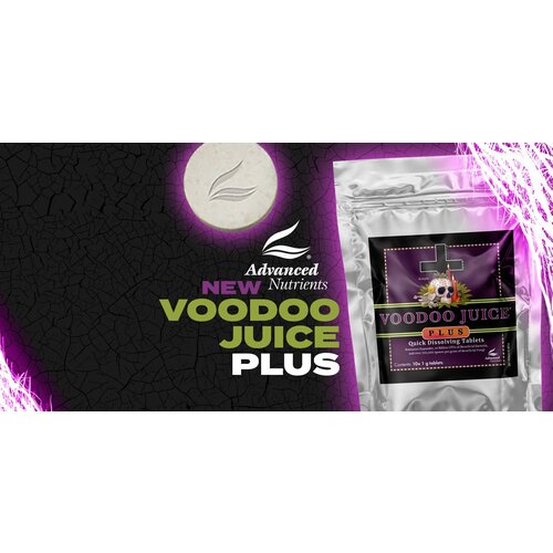    Voodoo Juice Plus,  5800