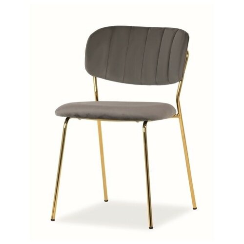 ���� SIGNAL CARLO VELVET, ����� / ����� ������, ��.152, ���� 12610�