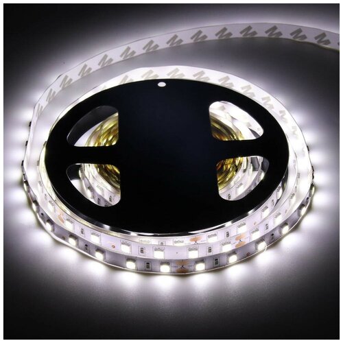  : SMD5050-60LED-IP33-24 5. -  : 5500-6000K,  2400