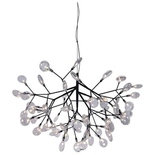    Crystal Lux Evita SP63 BLack/Transparent,  74200 Crystal Lux