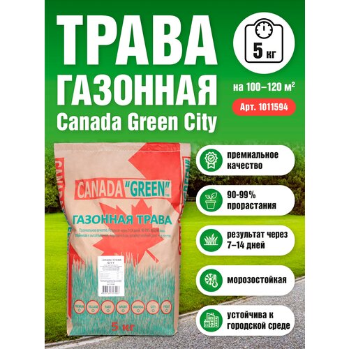 Газонная трава семена Канада Грин Городской CITY 15 кг/ мятлик, райграс,овсяница семена для газона, цена 4512р