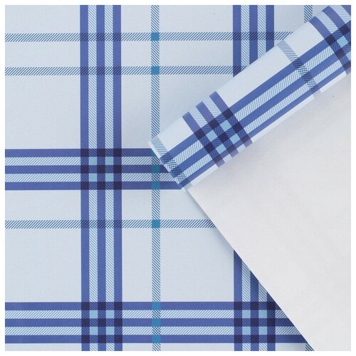������ ����������� ��������� �������, 50 ? 70 ��, ���� 733�