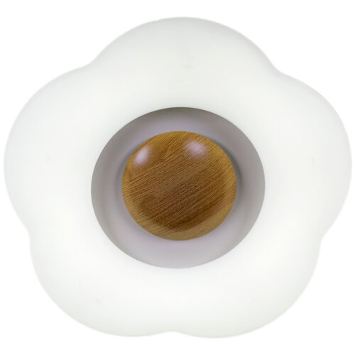   Reluce LED 2*49W 01014-0.3-01 WOOD,  4230