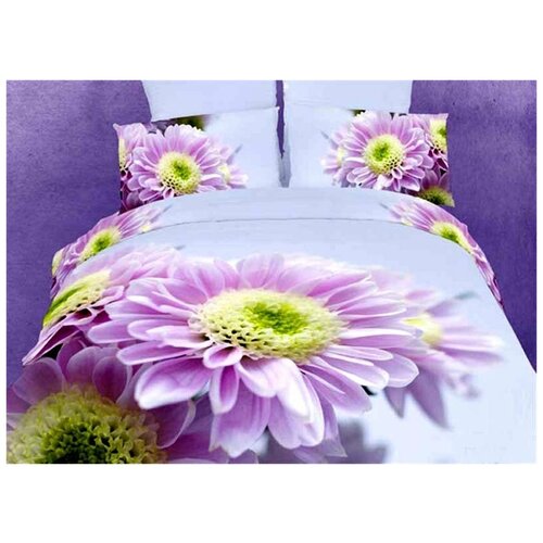 ���������� ����� Tango TS05-FS619 �������� 2 ���������, ���� 6337�