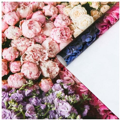 ������ ����������� ��������� 