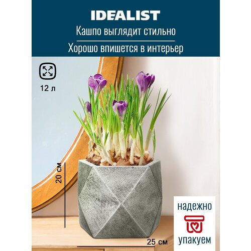     Idealist Lite  , , W25 L25 H20 , 12 .,  2240