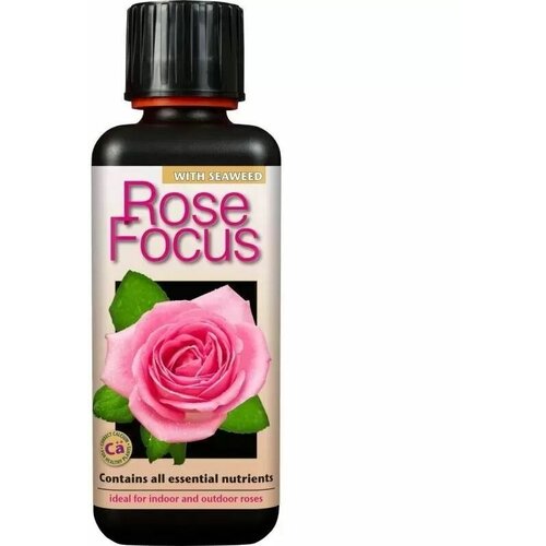   , Rose Focus 300     ,  1220
