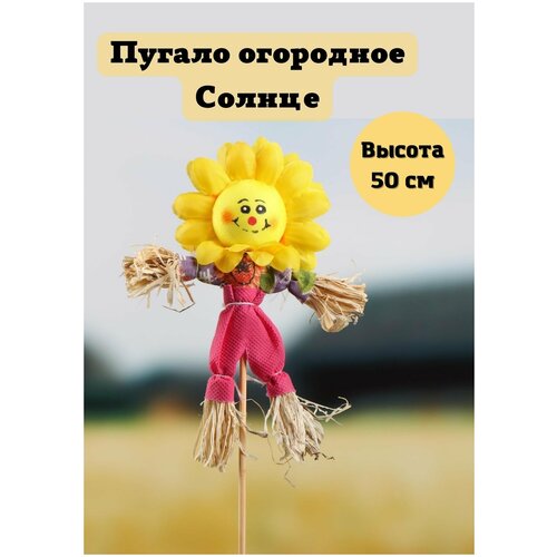 ������ ��������� ������ h=50 �� Luxury Gift, ���� 455�