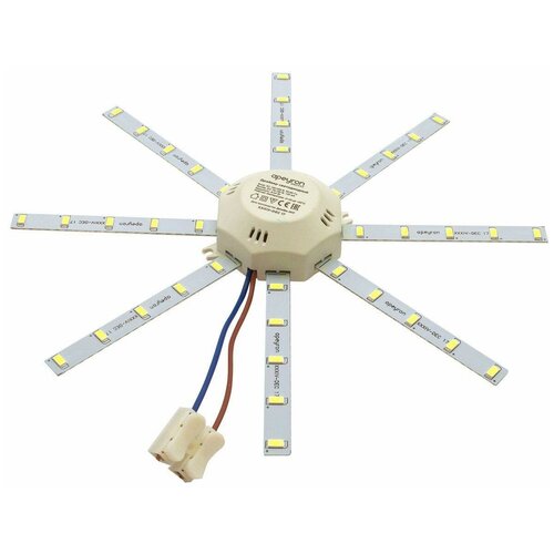    Apeyron  LED 16  3000 ,  951