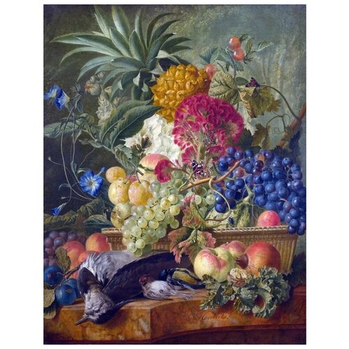    ,     (Fruit, Flowers and Dead Birds)   50. x 65.,  2410