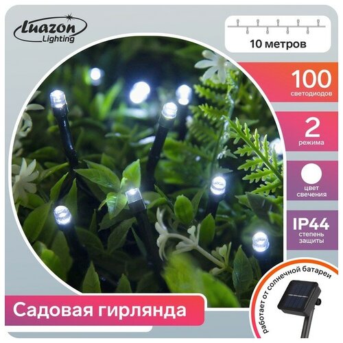   10 , IP44,  , 100 LED,  , 2 ,  ,  980