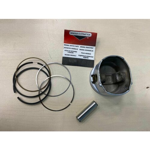 ������� � ����� 795131 Briggs&Stratton, ���� 7000�