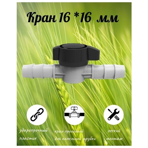 ���� 16 *16 ��, ���� 55�