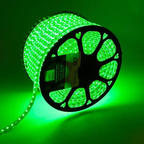 ������������ ����� LED 220� 13x8 ��, IP67, SMD 5050, 60 LED/m, ���� ������� 100 � Neon-Night, ���� 19269�