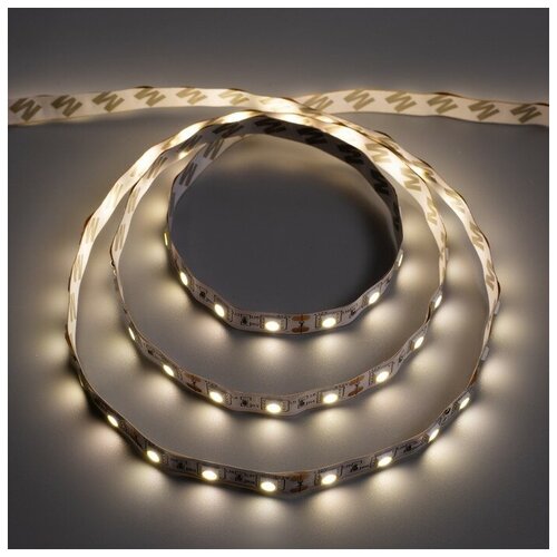   Ecola 3 , IP20, SMD5050, 60 LED/, 14.4 /, 12 , 4200,  304