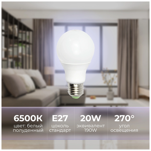   LED 20W 6000-6500K E27,  249